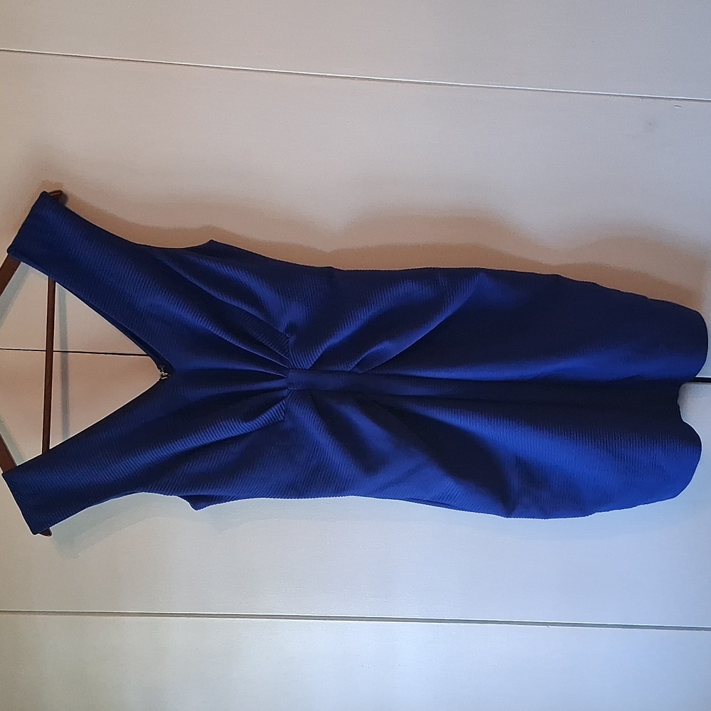 Express Royal Blue Backless Dress